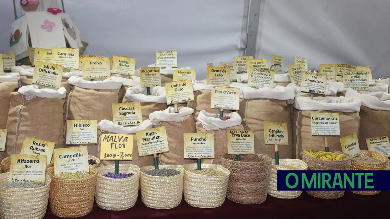 Feira Nacional dos Frutos Secos está de volta em Torres Novas