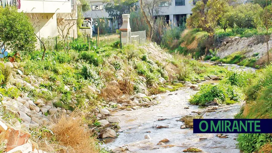 Novo parque urbano vai nascer em Alverca ao lado de ribeira poluída