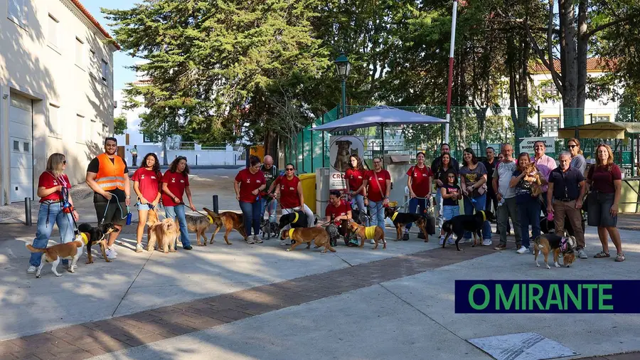 Animal Summit sensibilizou comunidade de Arruda dos Vinhos para adopção responsável