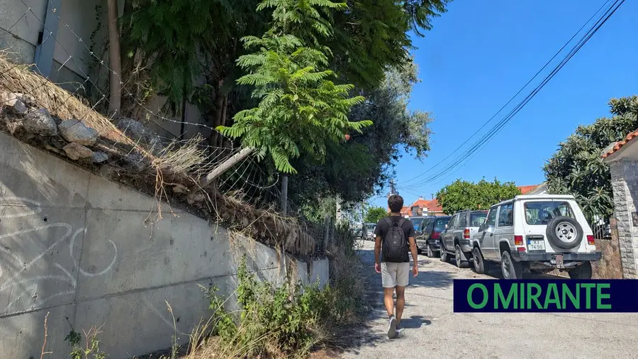 Moradores criticam desmazelo da Brisa na manutenção da A1 no Sobralinho