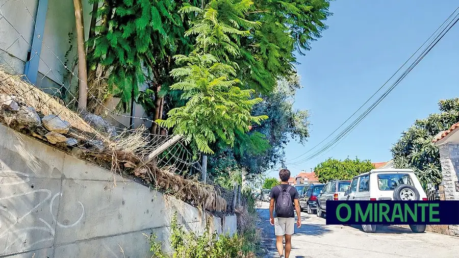 Moradores queixam-se do desmazelo da Brisa no Sobralinho