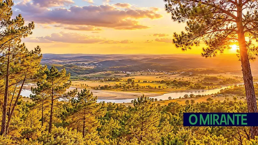 Painéis solares podem ocupar 514 hectares no Sardoal