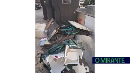 Destruição de abrigos de gatos no Rossio gera indignação em Torres Novas