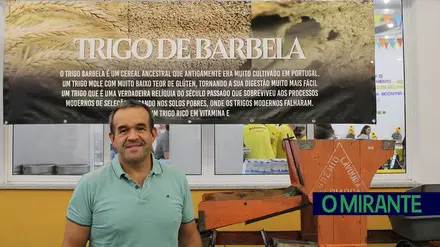 Dia Mundial do Pão: trigo ancestral Barbela ganha destaque na Moçarria