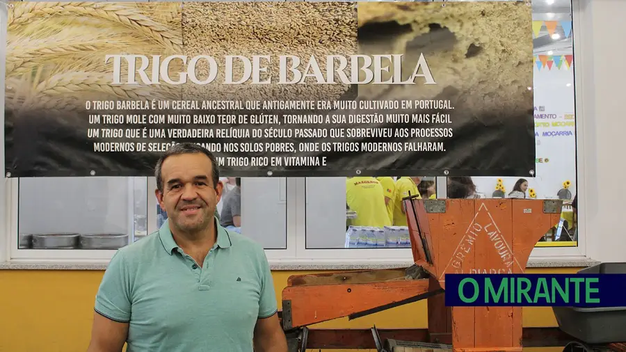 Dia Mundial do Pão: trigo ancestral Barbela ganha destaque na Moçarria