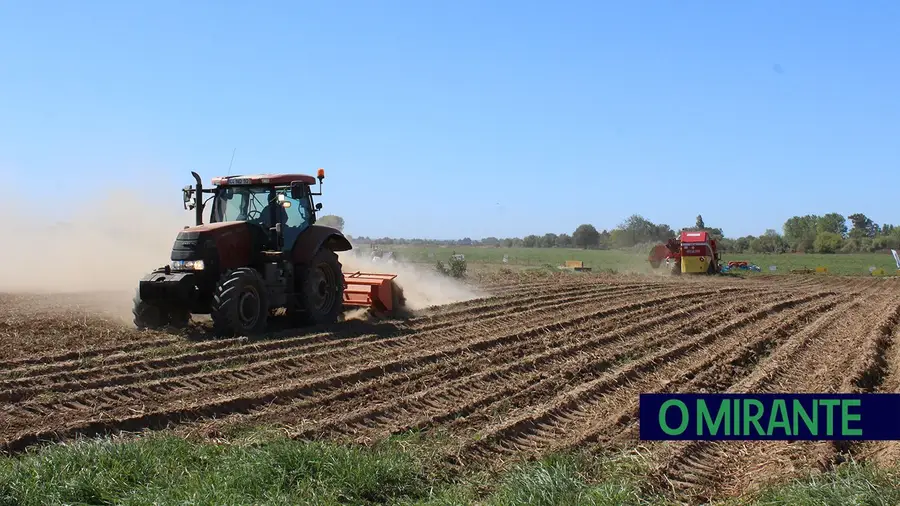 Agricultores do Ribatejo querem investir 2,7 milhões na modernização das explorações