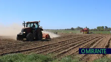 Agricultores do Ribatejo querem investir 2,7 milhões na modernização das explorações