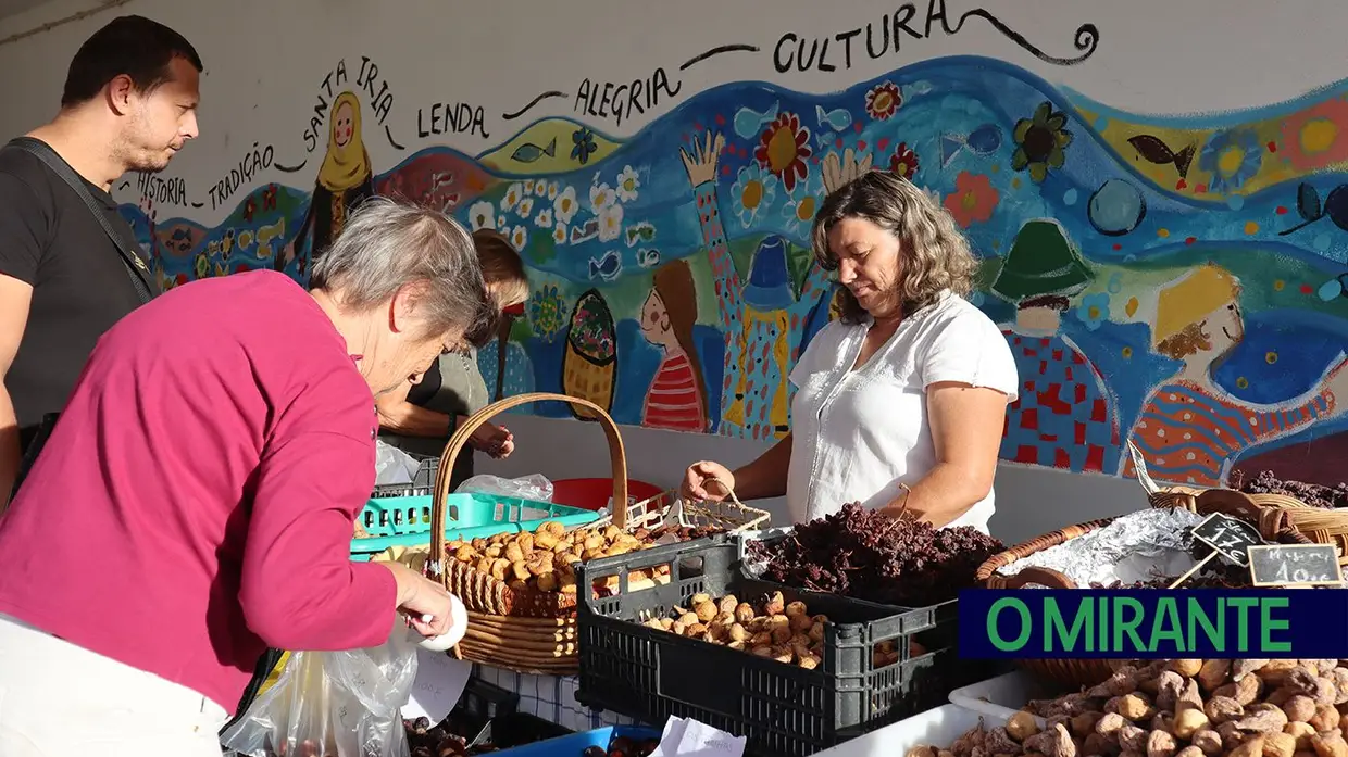 Feira de Santa Iria celebra 400 anos com dez dias de festa em Tomar