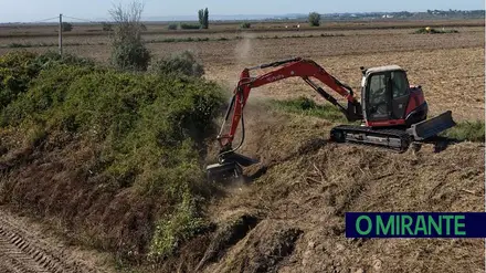Limpeza e desobstrução dos diques de Valada já começaram