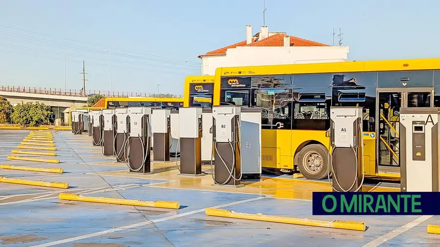 Electrizados!