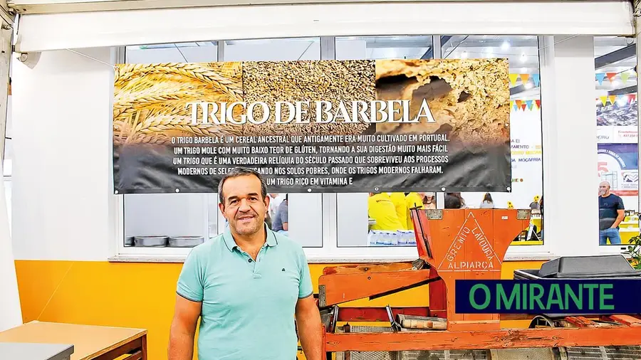 Na Moçarria há um trigo que resiste à indústria e mantém viva a tradição do pão
