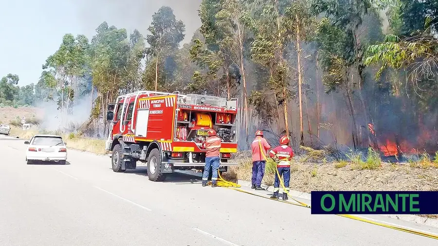 Incêndios no Médio Tejo triplicam área ardida apesar de eficácia de 99,6% no combate inicial