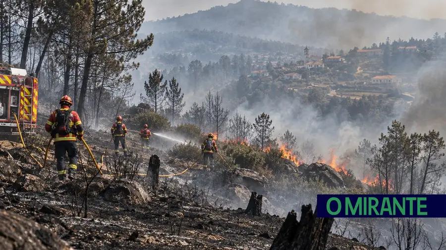 Área ardida diminuiu 72% apesar do aumento dos incêndios em 2026