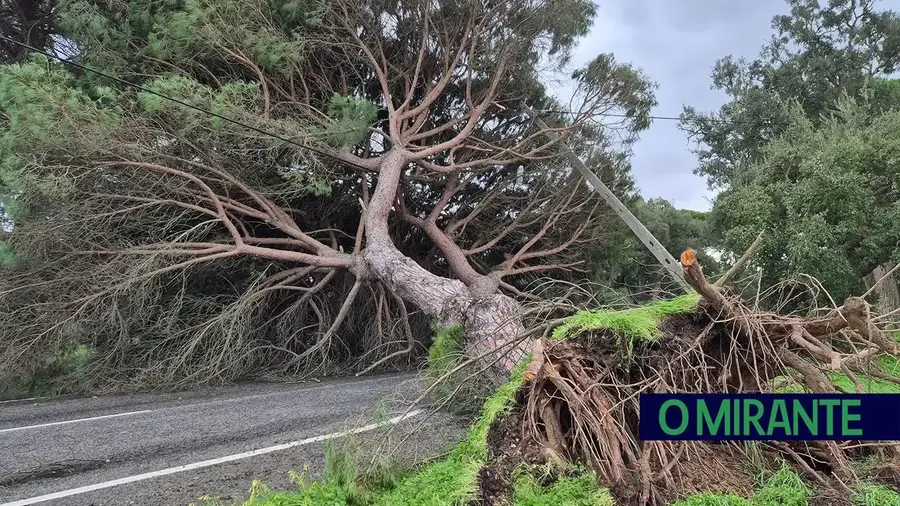 União Europeia aprova 261,5 milhões para Portugal recuperar dos estragos das tempestades