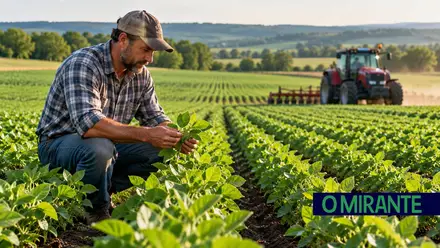 Governo anuncia 35 milhões de euros para apoiar 200 jovens agricultores