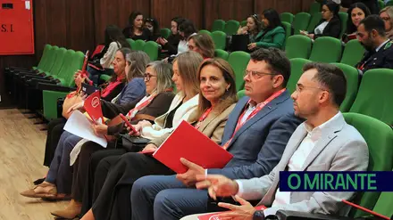 Combate à violência faz-se com trabalho em rede e coordenação entre entidades
