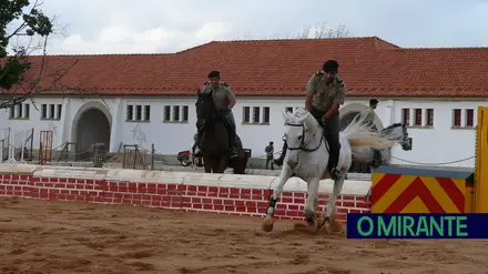 Santarém quer criar escola de equitação na antiga Escola Prática de Cavalaria