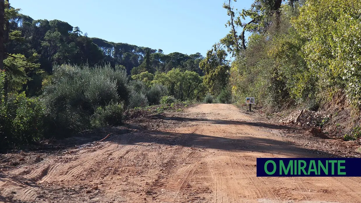 Mata dos Sete Montes em Tomar volta a abrir portas após nove meses