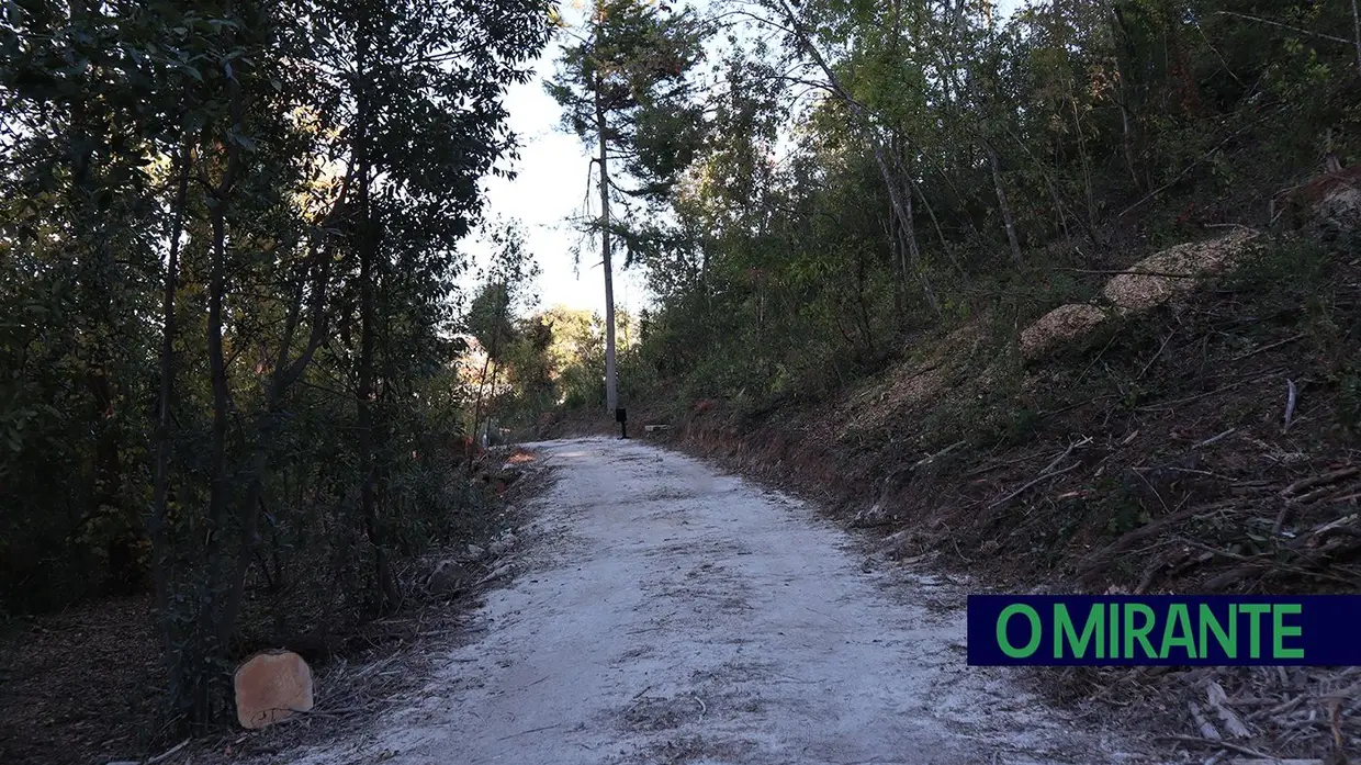 Mata dos Sete Montes em Tomar volta a abrir portas após nove meses