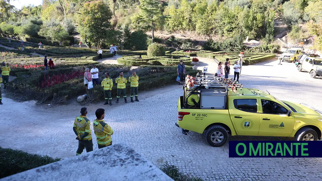Mata dos Sete Montes em Tomar volta a abrir portas após nove meses