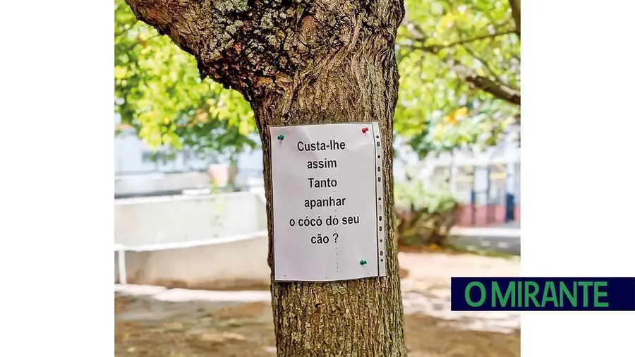 A pregar no deserto