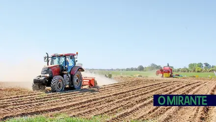 Agricultores do Ribatejo querem investir 2,7 milhões na modernização das explorações