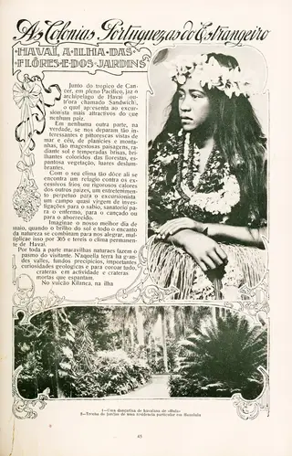 Revista. A reportagem de Joaquim Costa sobre o Havai numa “Ilustração Portuguesa” de 1911 