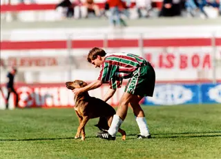 No Estrela da Amadora, Andrade viveu uma situação caricata, foi o unico com coragem para tirar um cão que invadiu o relvado