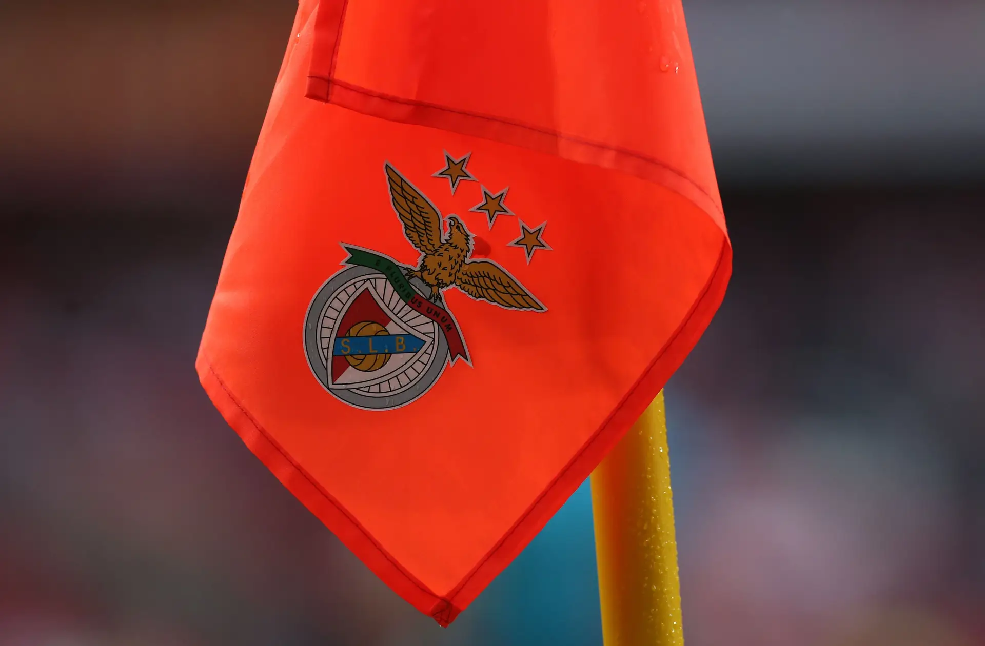 Caso dos emails: Benfica diz que “se defenderá de todas as acusações” que garante serem “infundadas”