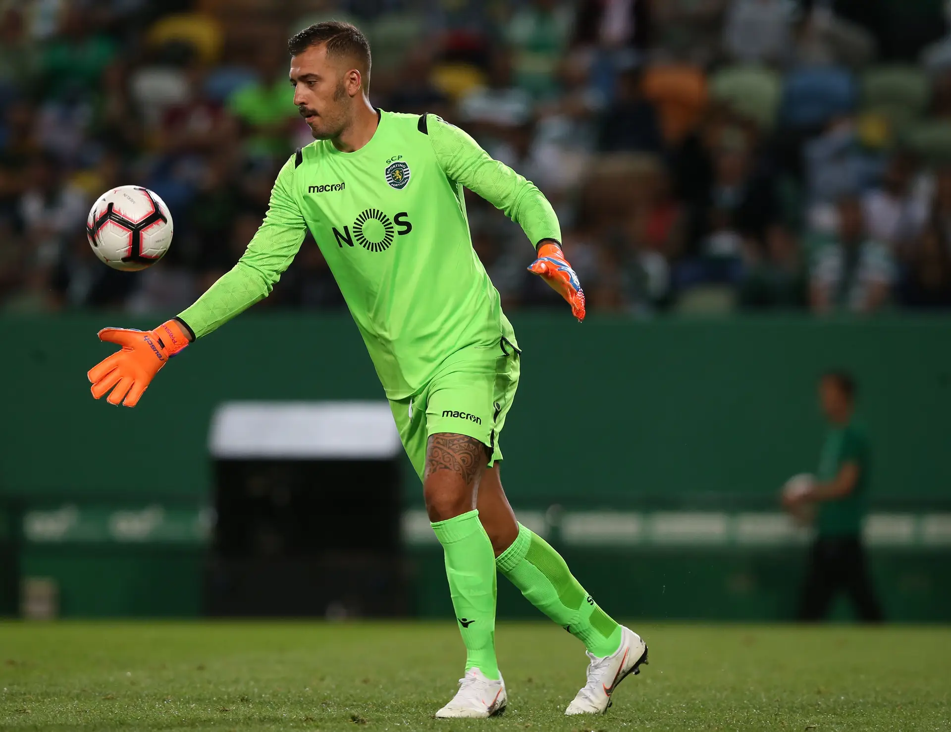 Arrivederci, Viviano