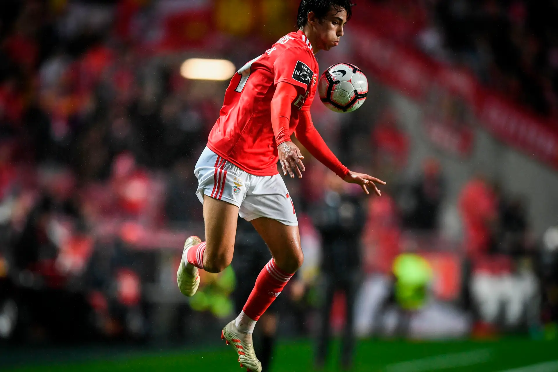 Eu vi os Super Wings no Estádio da Luz
