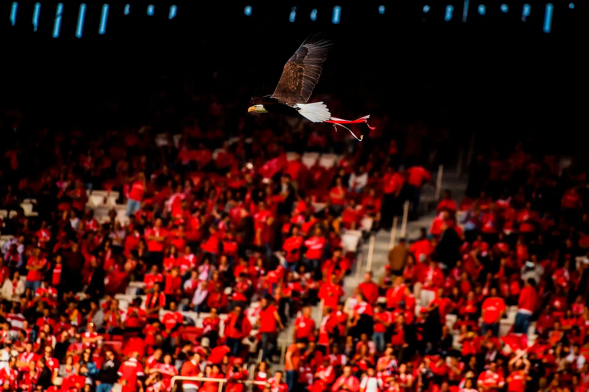 E-Toupeira. Benfica não vai a julgamento: “Não foi confirmado, nem sequer foi investigado, que SAD queria a conduta de Paulo Gonçalves”