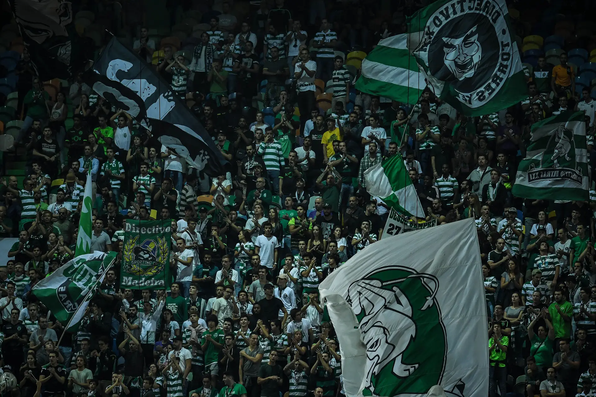 "É lamentável e preocupante". Sporting reage após violência entre adeptos, que deixou duas pessoas no hospital