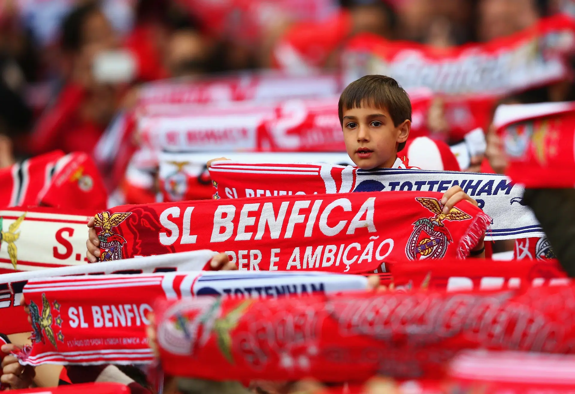 Supervisor atrasa planos e vontade do Benfica na OPA