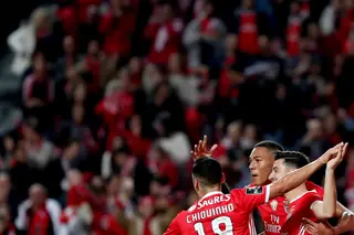 Em direto: Benfica 0-0 Tondela (1.ª parte)