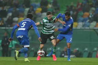 A estreia de Sporar, por Diogo Faro: afinal onde reside a beleza das coisas, e o que são coisas, e será que existimos ou é tudo fantasia?