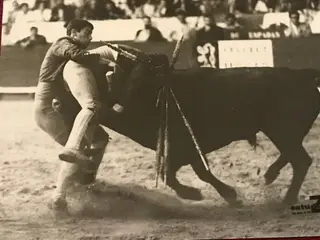 Pedro a ajudar o pai numa pega no Campo Pequeno, em Lisboa