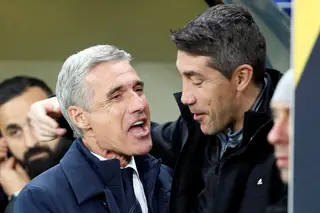 Luís Castro elogia desempenho do Benfica