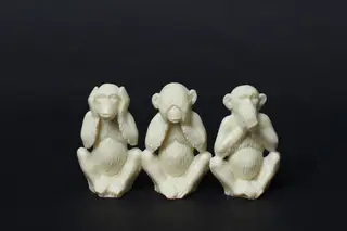 O país está infetado por um vírus que não afeta o pulmão, mas destrói toda uma nação. Está tudo tão podre que tresanda