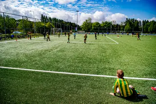 Assim que puderem venham ter connosco (a newsletter da Tribuna)