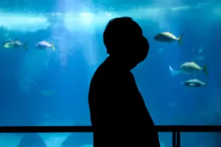 “Não recebi a carta de Pedro Proença, mas não vou pronunciar-me sobre uma matéria que não é da competência do Presidente da República”