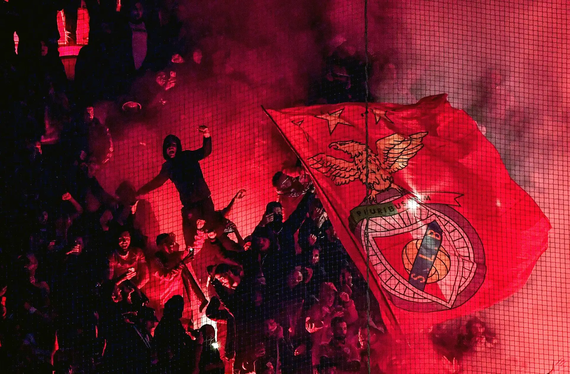 Tiago Pinto de saída do Benfica: diretor do futebol vai ser diretor desportivo da Roma