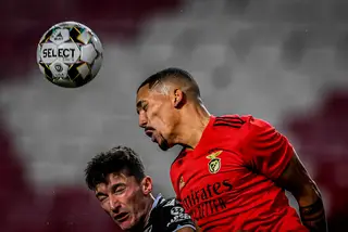 Benfica: onze pontos para não acreditar em tudo o que lhe dizem