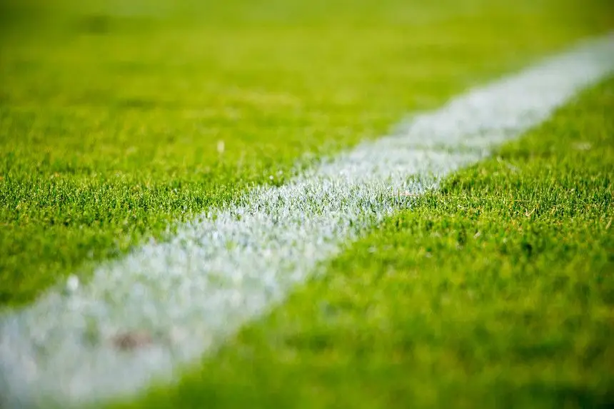 PAN questiona Finanças sobre eventuais fraudes em negócios revelados no Football Leaks