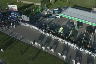 Adeptos do FC Porto fazem cordão humano para apoiar equipa e criticar arbitragem