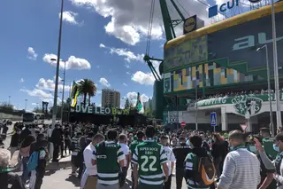 "É bom viver isto outra vez". A esperança de milhares de adeptos em Alvalade antes do Sporting-Boavista