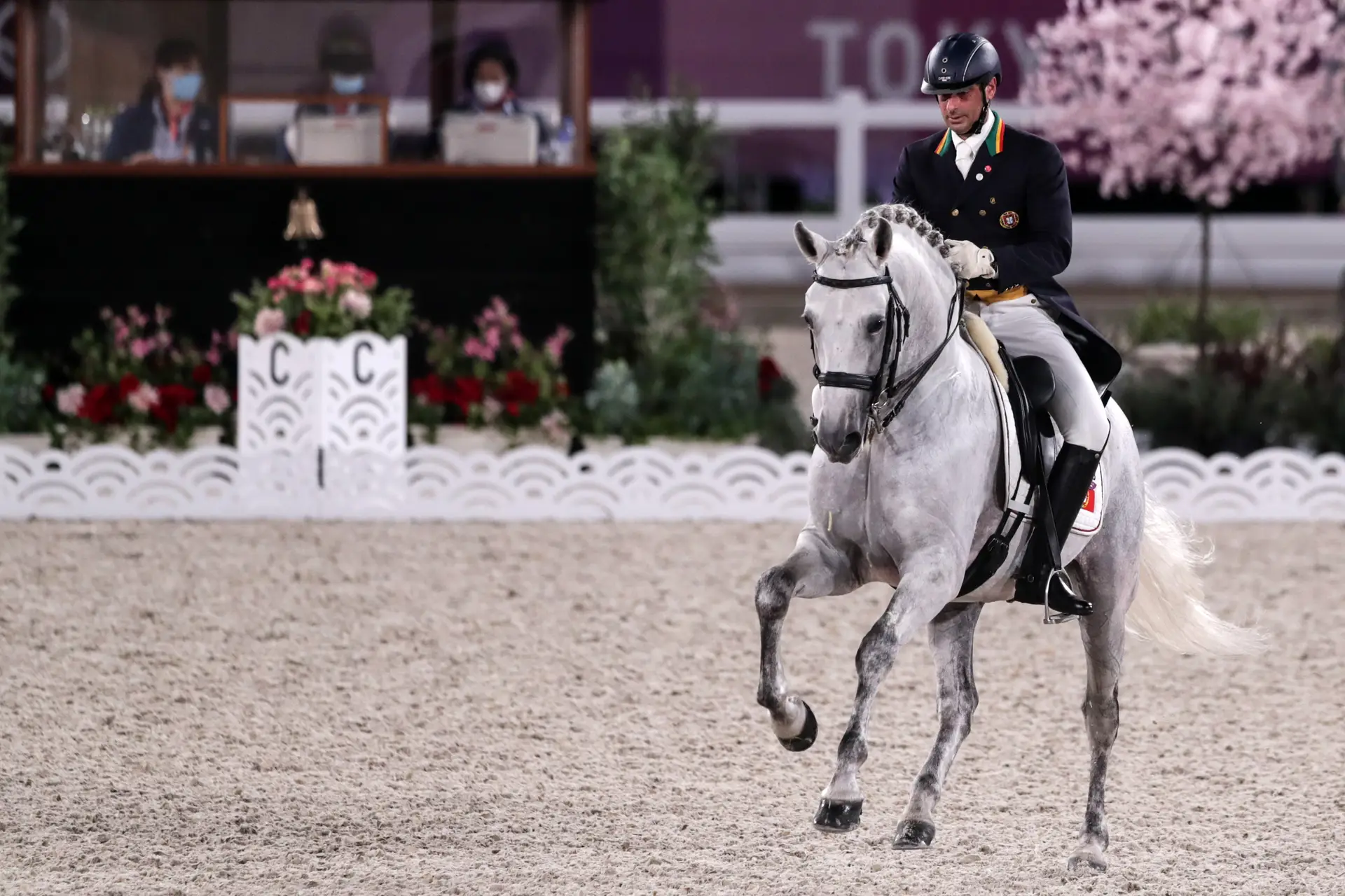 Cavalo sofre lesão durante prova dos Jogos Olímpicos e é