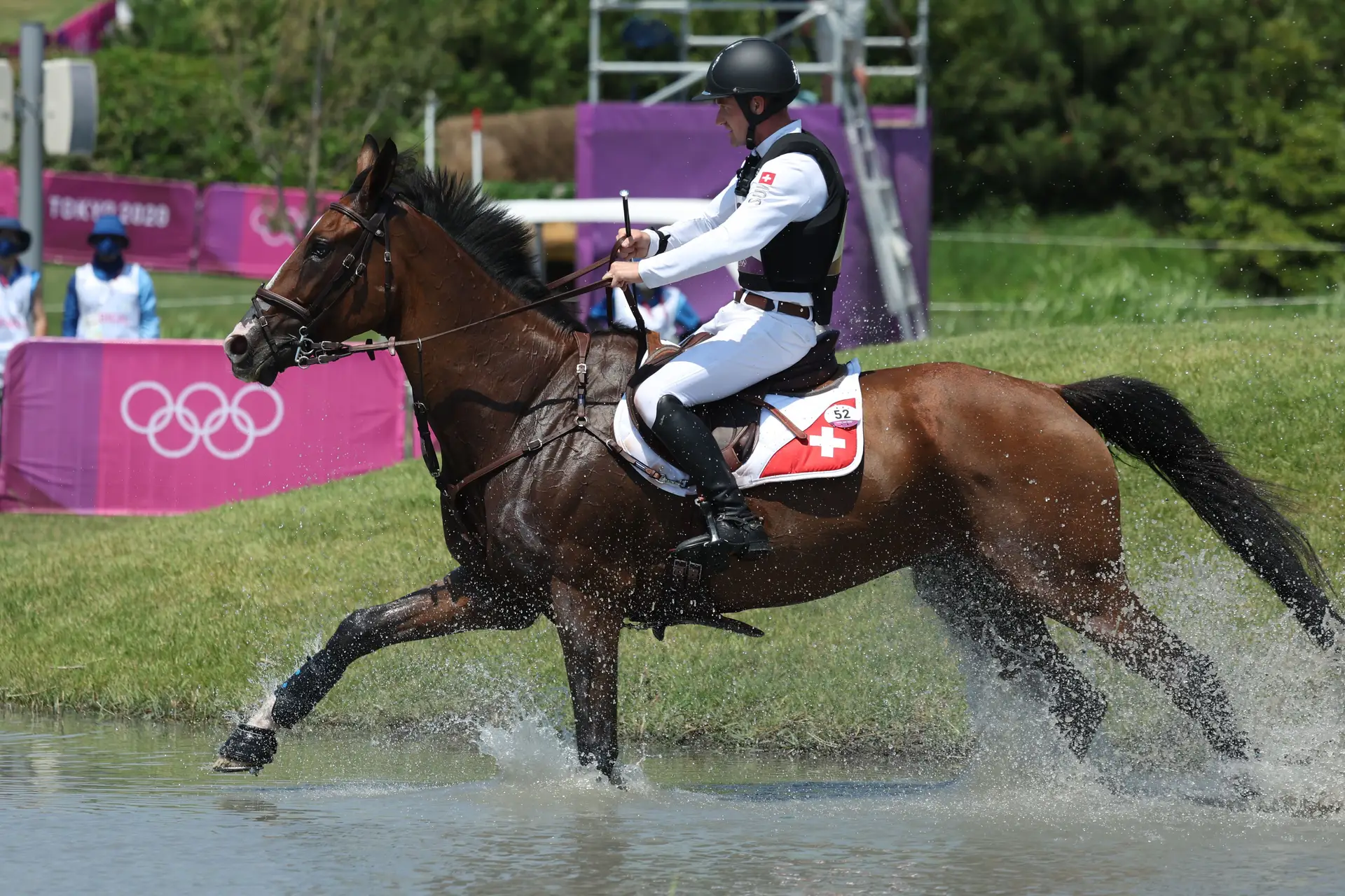 Cavalo sofre lesão durante prova dos Jogos Olímpicos e é