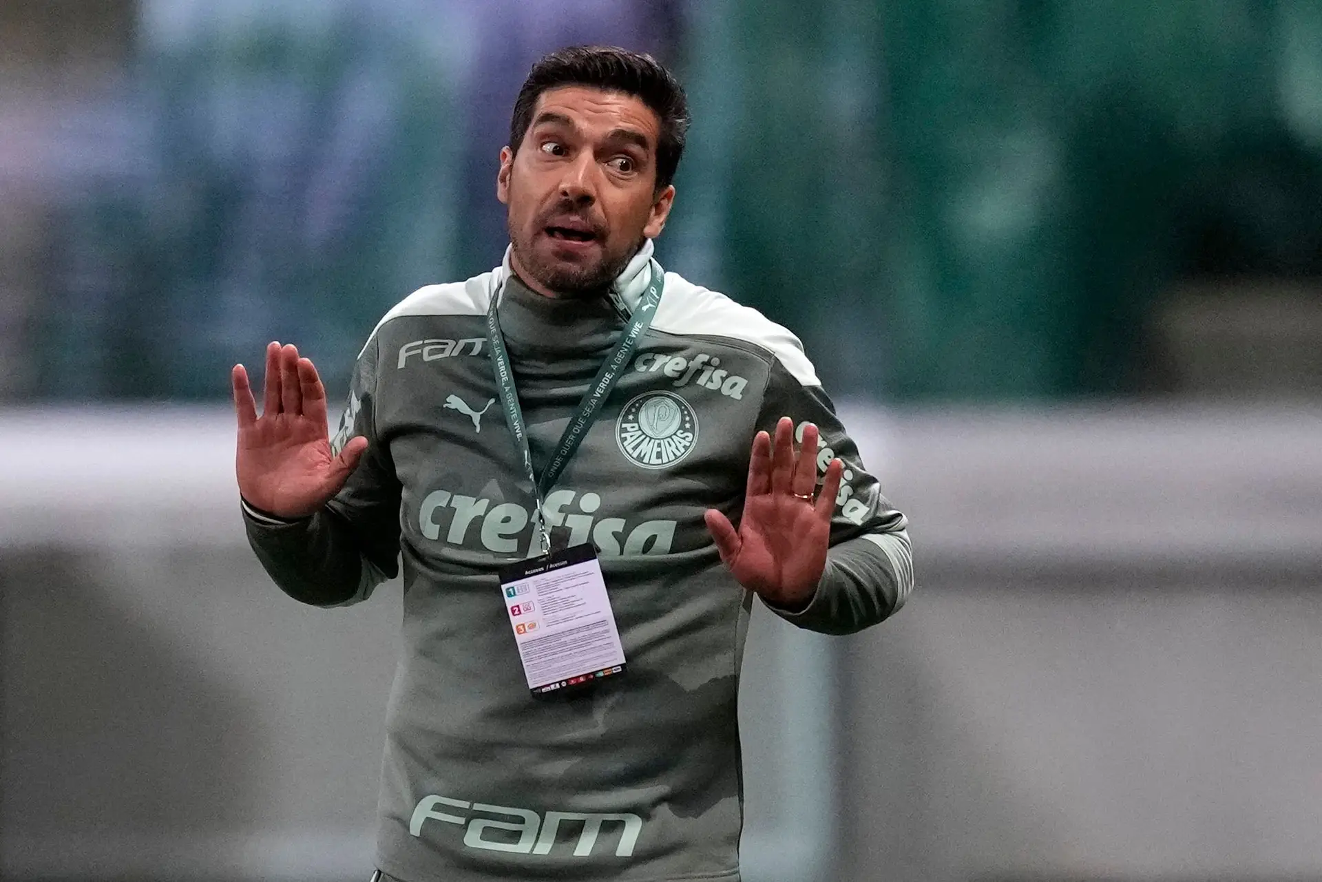 “Que vá ser zangado para longe. Que tipo enjoado”. Ex-internacionais brasileiros dizem que Abel Ferreira precisa de “esquecer a imprensa”