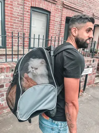 Marco com os gatos às costas